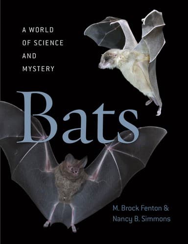 Tapa de Bats