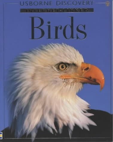 Tapa de Internet-Linked Birds