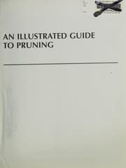 Tapa de An illustrated guide to pruning