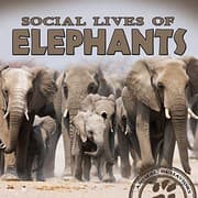 Tapa de Social lives of elephants