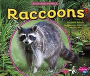Tapa de Raccoons