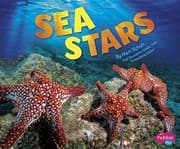 Tapa de Sea Stars
