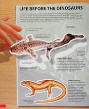 Tapa de Wow! Dinosaur