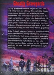Tapa de Ghostly graveyards