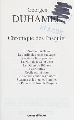 Tapa de La Chronique des Pasquier