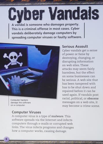 Tapa de Cyber crime secrets