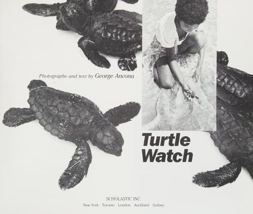 Tapa de Turtle watch