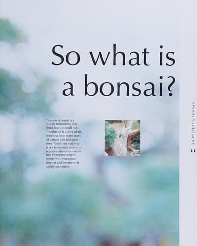 Tapa de Bonsai