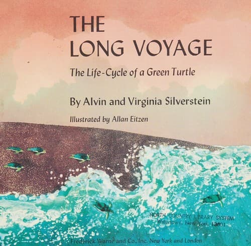 Tapa de The long voyage