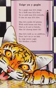 Tapa de Teigr Yn y Gegin