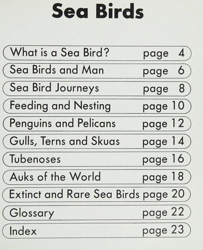 Tapa de Sea birds