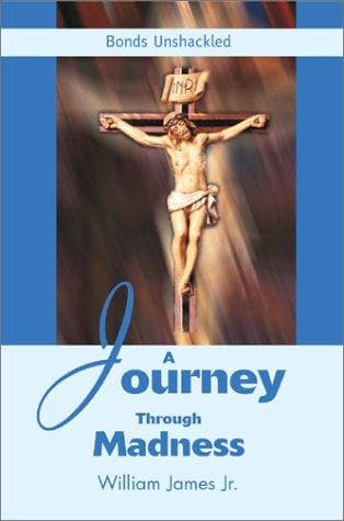 Tapa de A Journey Through Madness