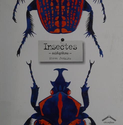 Tapa de Insectes, coléoptères