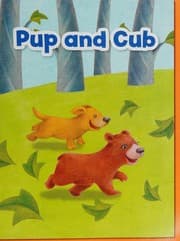 Tapa de Wonders Decodable Reader Unit 7 Grade K