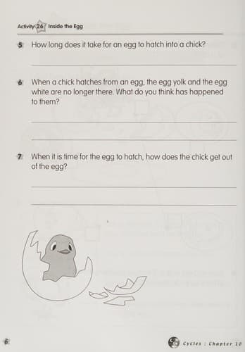 Tapa de Activity Book