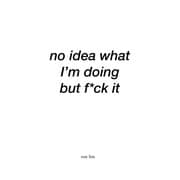 Tapa de No Idea What I'm Doing but F*ck It