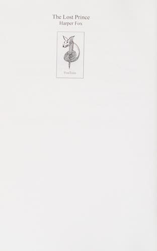 Tapa de The lost prince