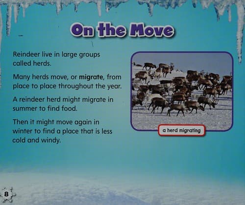 Tapa de Reindeer