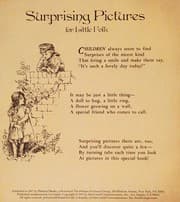Tapa de Surprising pictures for little folk