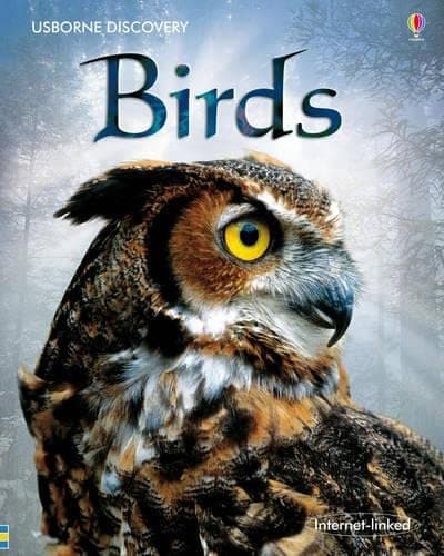Tapa de Birds