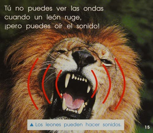 Tapa de Los sonidos que oímos