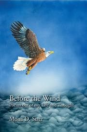 Tapa de Before the Wind