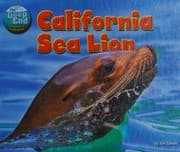 Tapa de California Sea Lion
