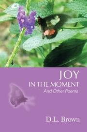 Tapa de Joy in the Moment