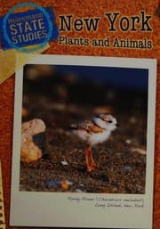 Tapa de New York plants and animals