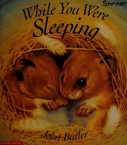 Tapa de While You Were Sleeping