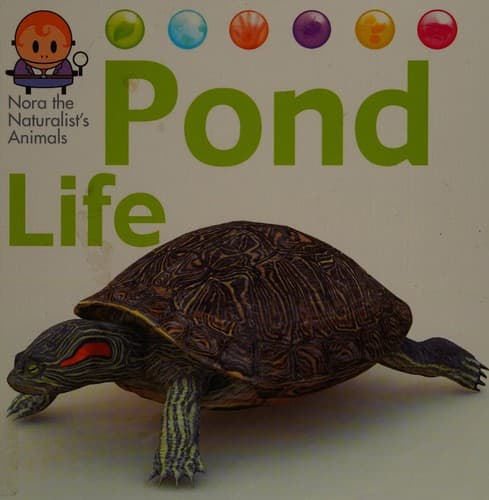 Tapa de Pond Life