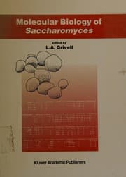 Tapa de Molecular biology of saccharomyces