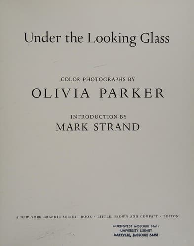 Tapa de Under the Looking Glass