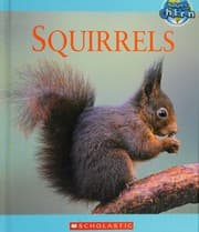 Tapa de Squirrels