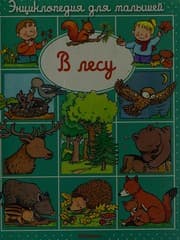 Tapa de V lesu