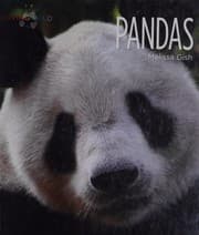 Tapa de Pandas