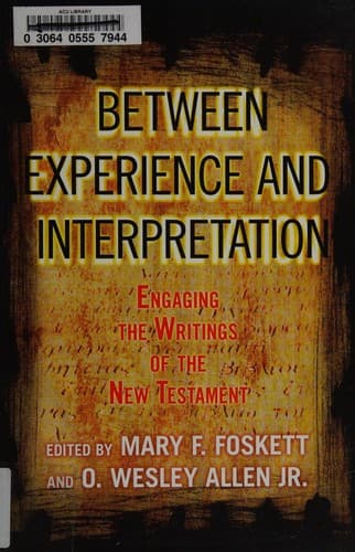 Tapa de Between experience and interpretation