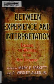 Tapa de Between experience and interpretation