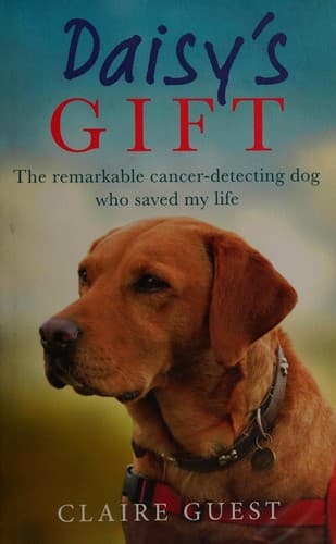 Tapa de Daisy's Gift