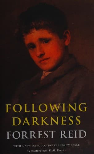 Tapa de Following darkness