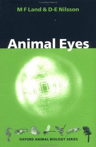 Tapa de Animal eyes