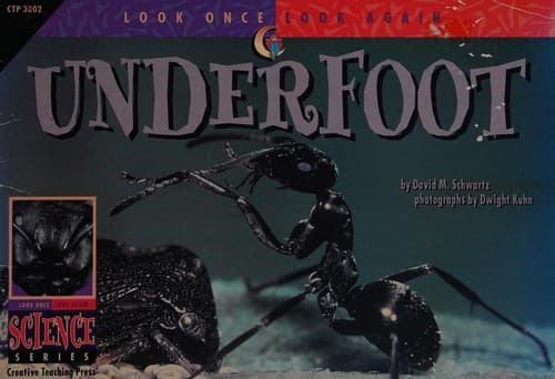 Tapa de Underfoot