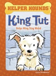 Tapa de King Tut Helps Ming Stay Weird
