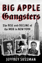 Tapa de Big Apple Gangsters