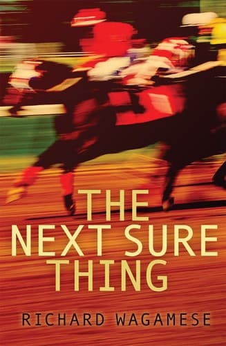Tapa de The next sure thing