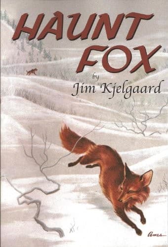 Tapa de Haunt Fox