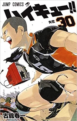 Tapa de Haikyu!! Vol. 30