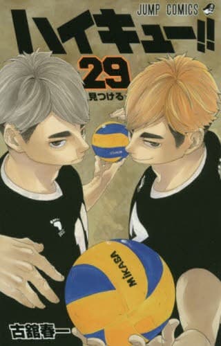 Tapa de Haikyu!! Vol. 29