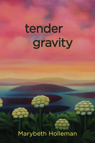 Tapa de Tender Gravity