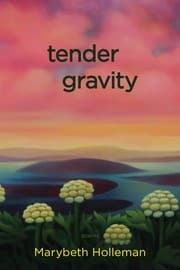 Tapa de Tender Gravity